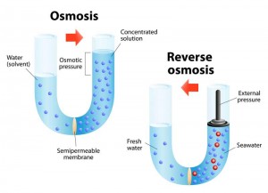 reverse-osmosis