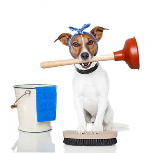 Annapolis Plumber