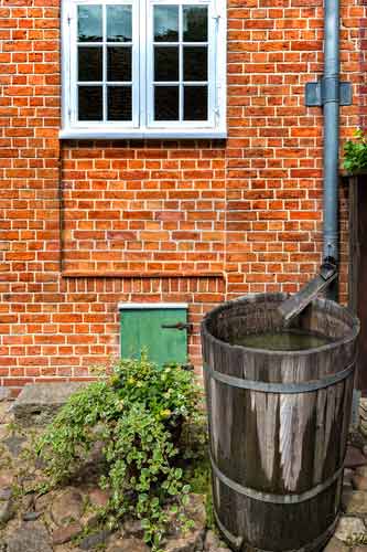 rain-barrel-collection-system