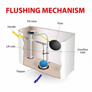 toilet-diagram